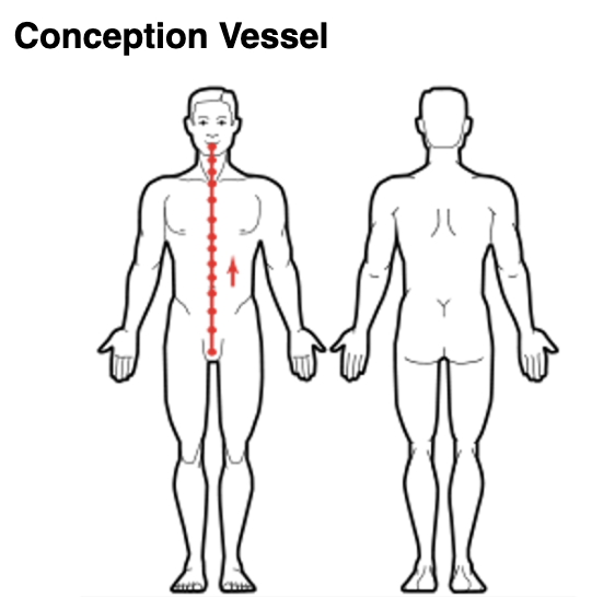 Conception Vessel Meridian