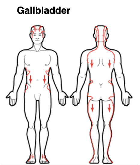 Gallbladder Meridian