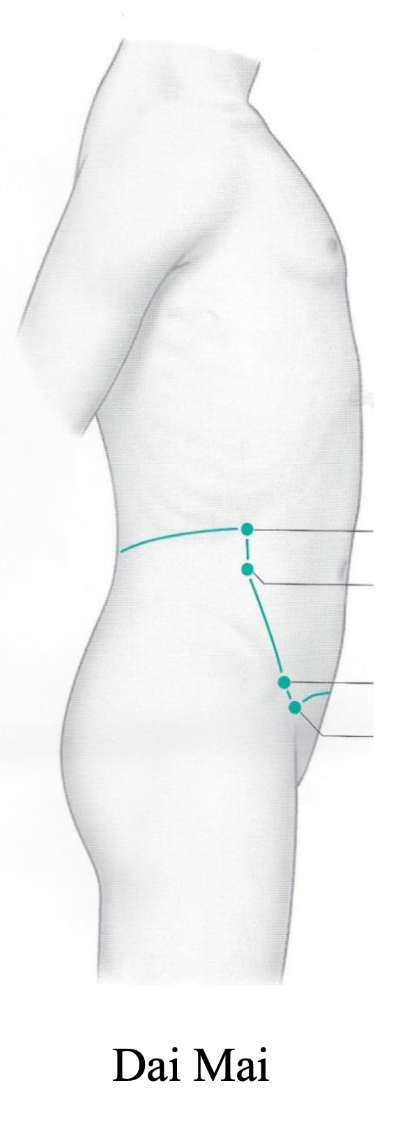Dai Mai Girdle Meridian pathway reference