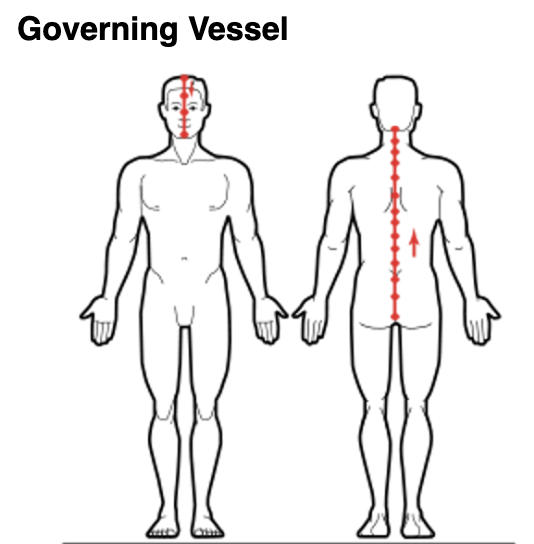 Governing Vessel Meridian