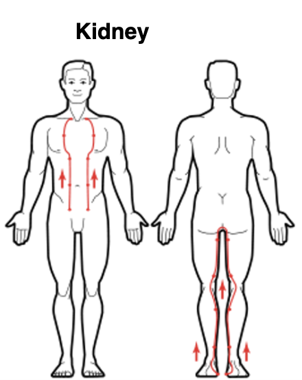 Kidney Meridian