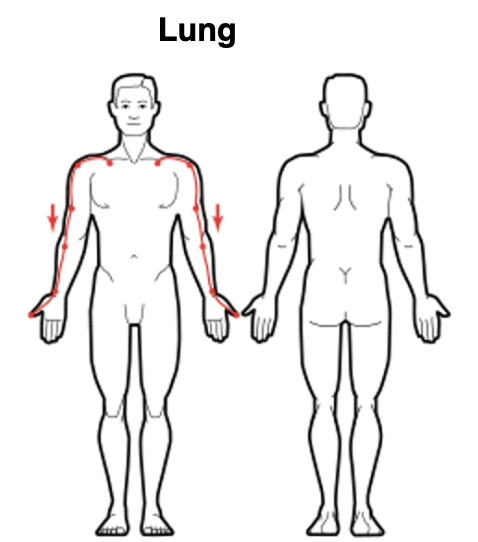 Lung Meridian