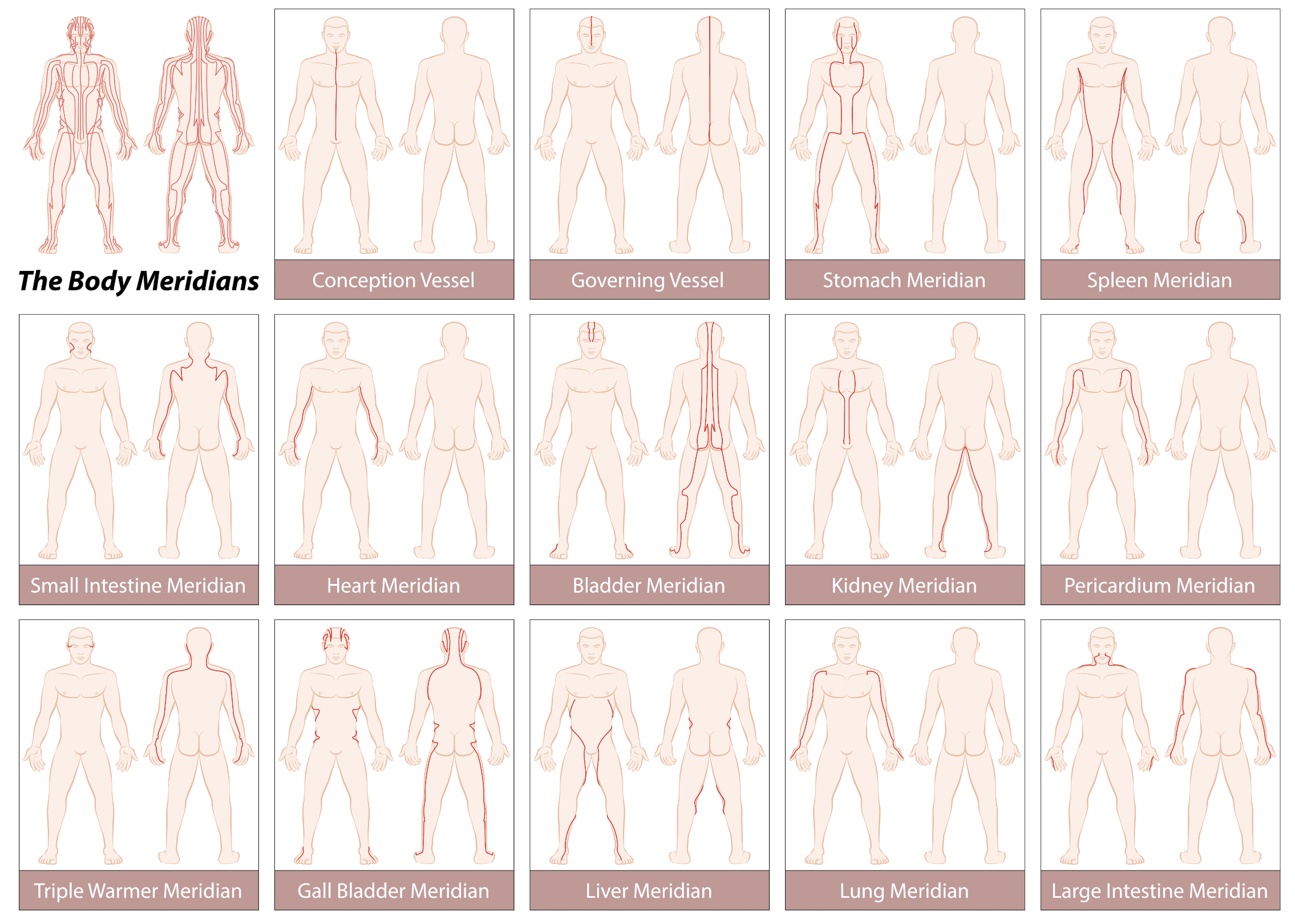 Meridians of the Body Individual