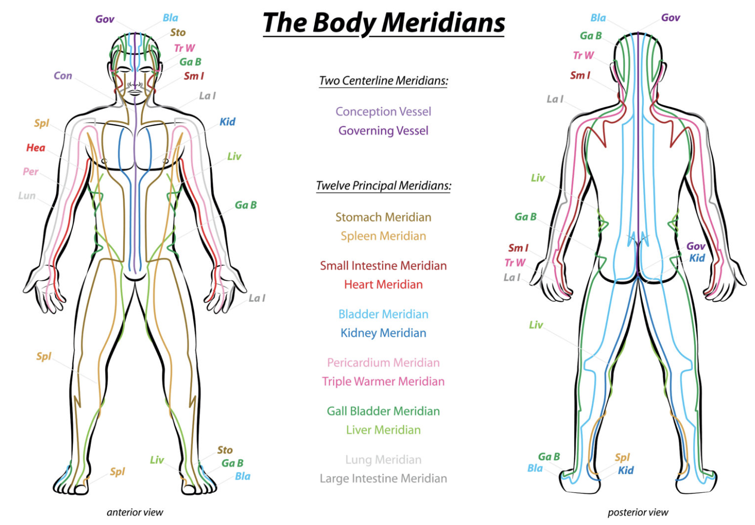 Meridians of the Body