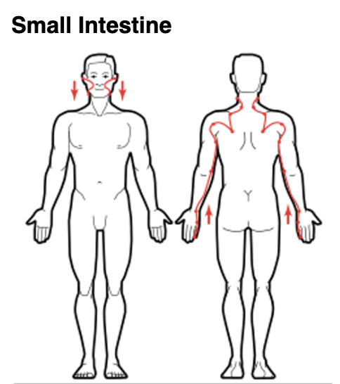 Small Intestine Meridian