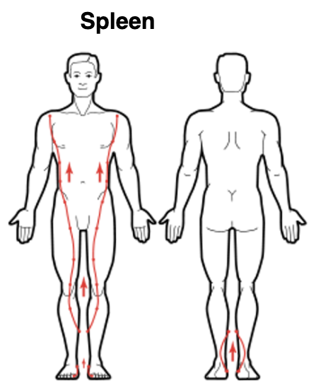 Spleen Meridian
