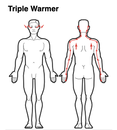 Triple Warmer Meridian