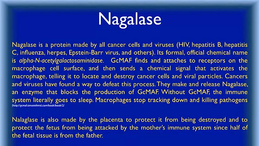 Nagalase and immune activity reference illustration