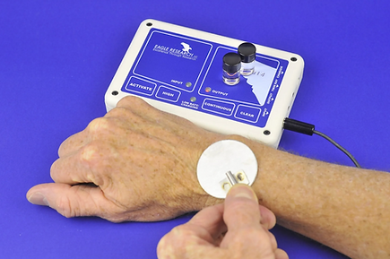 Eagle Research Guardian P4 device in use