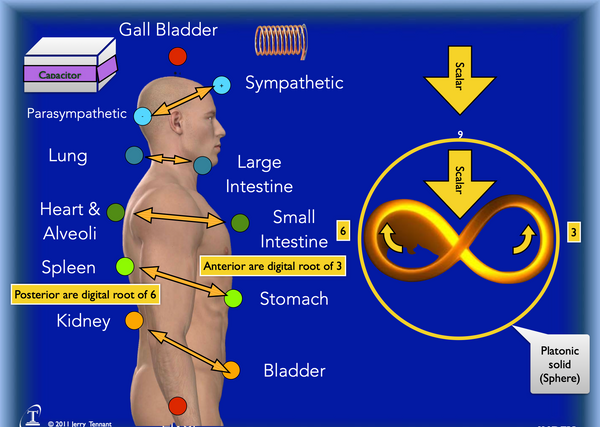 BioGeometry reference