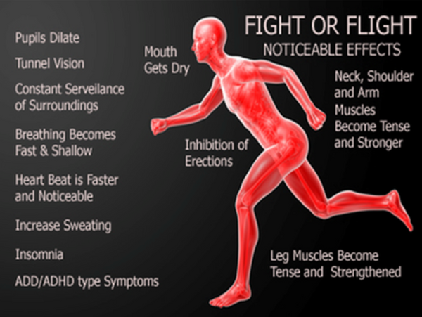 VIGEO fight-or-flight sympathetic state visual