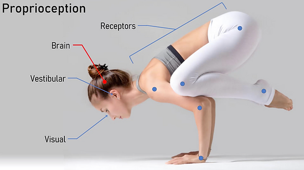 Square 1 movement reference