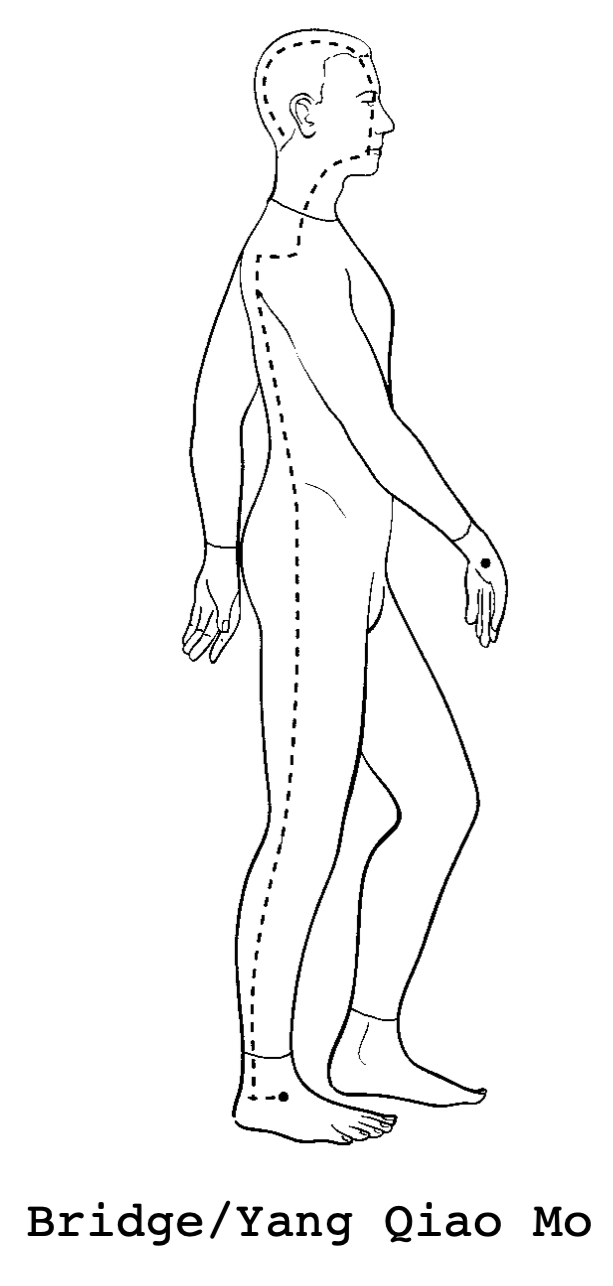 Yang Heel Meridian reference