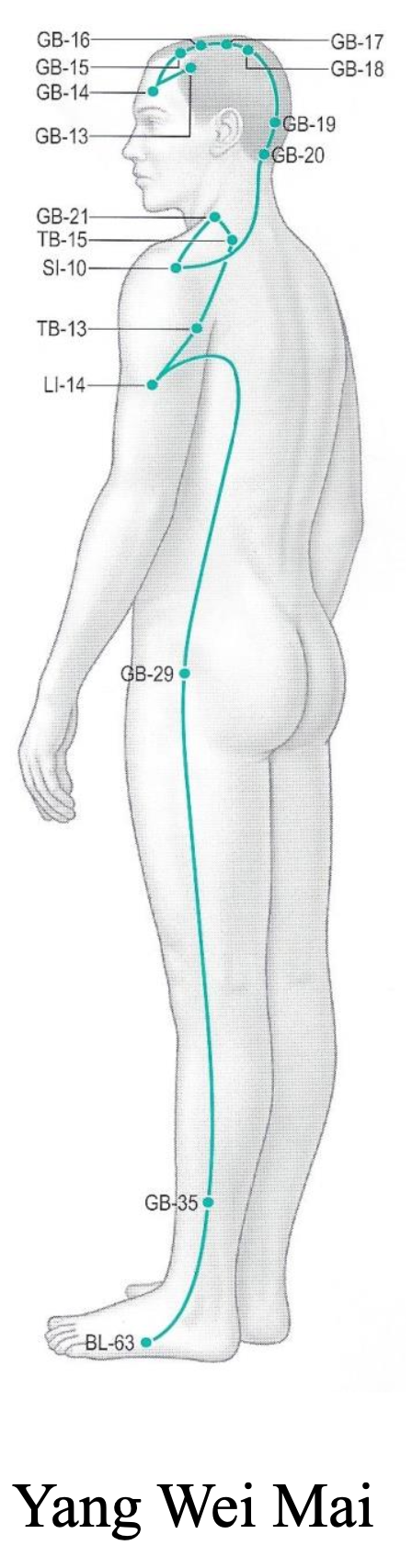 Yang Linking Meridian pathway reference