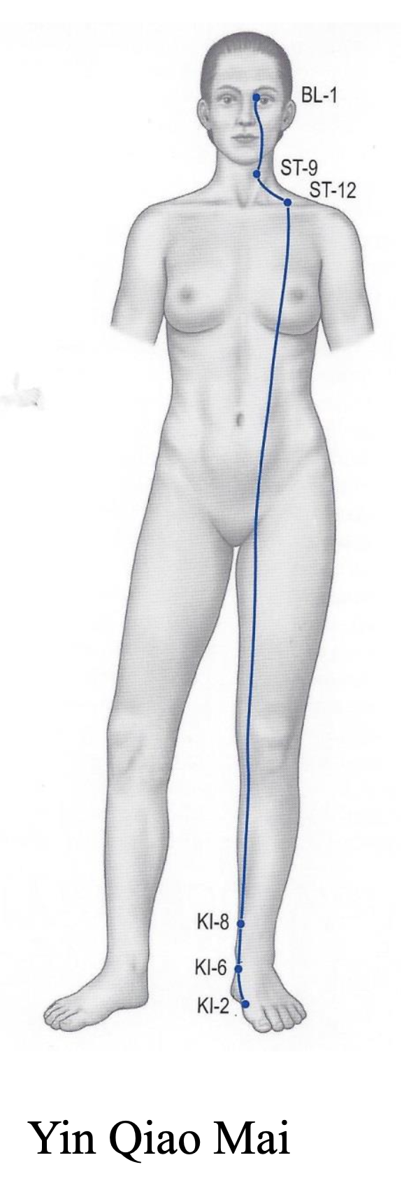 Yin Heel Meridian pathway reference